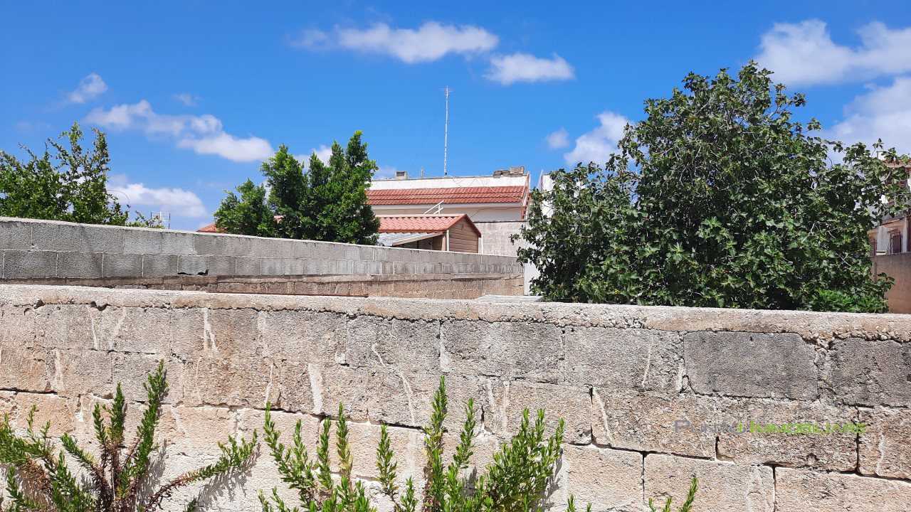  - foto 6