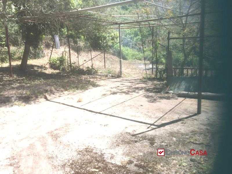  - foto 7