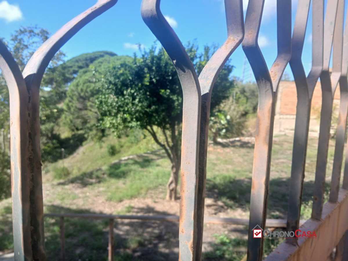  - foto 6