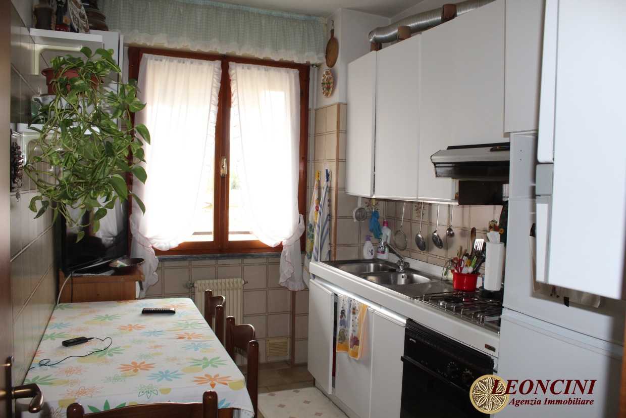  - foto 6