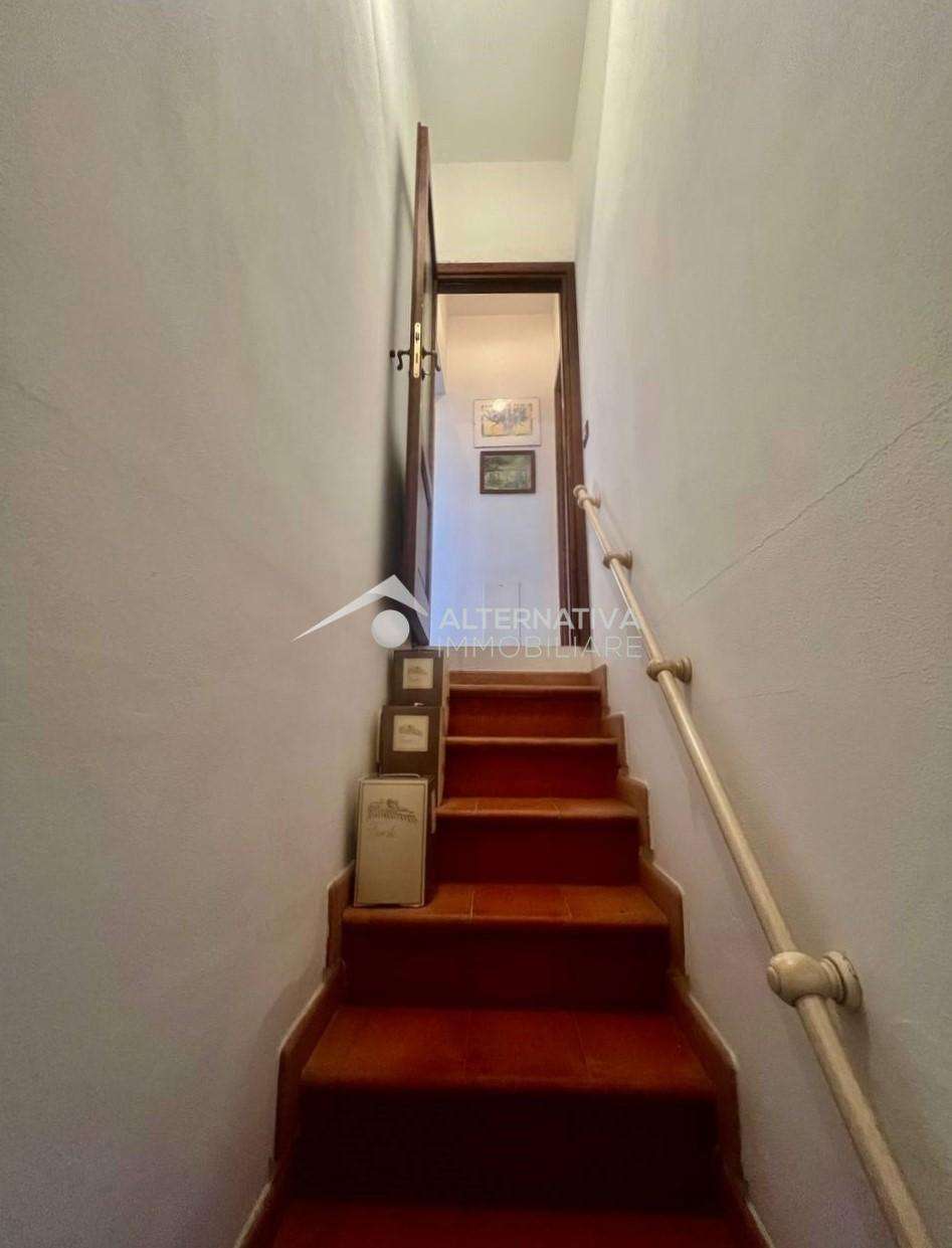  - foto 22