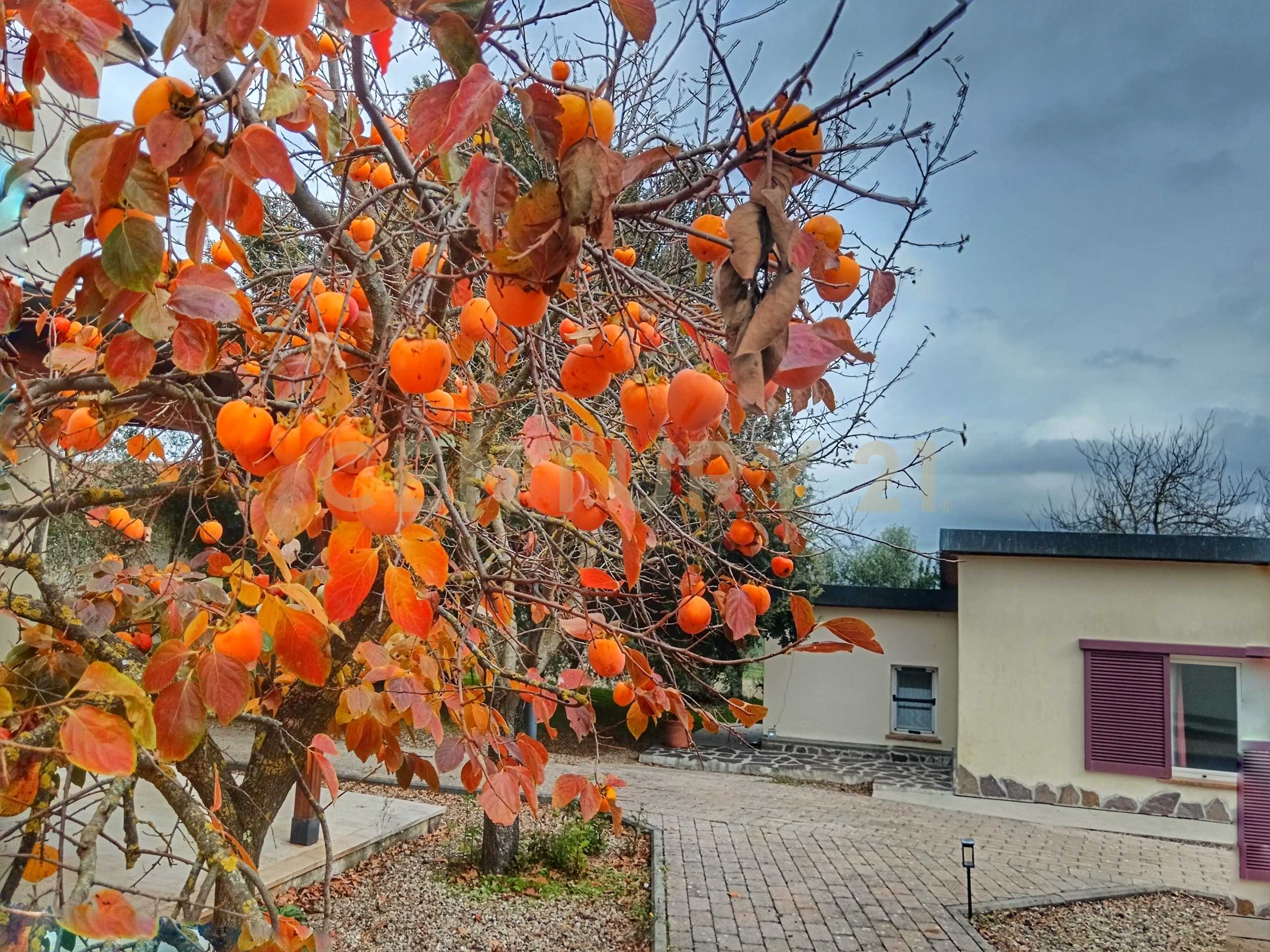  - foto 62