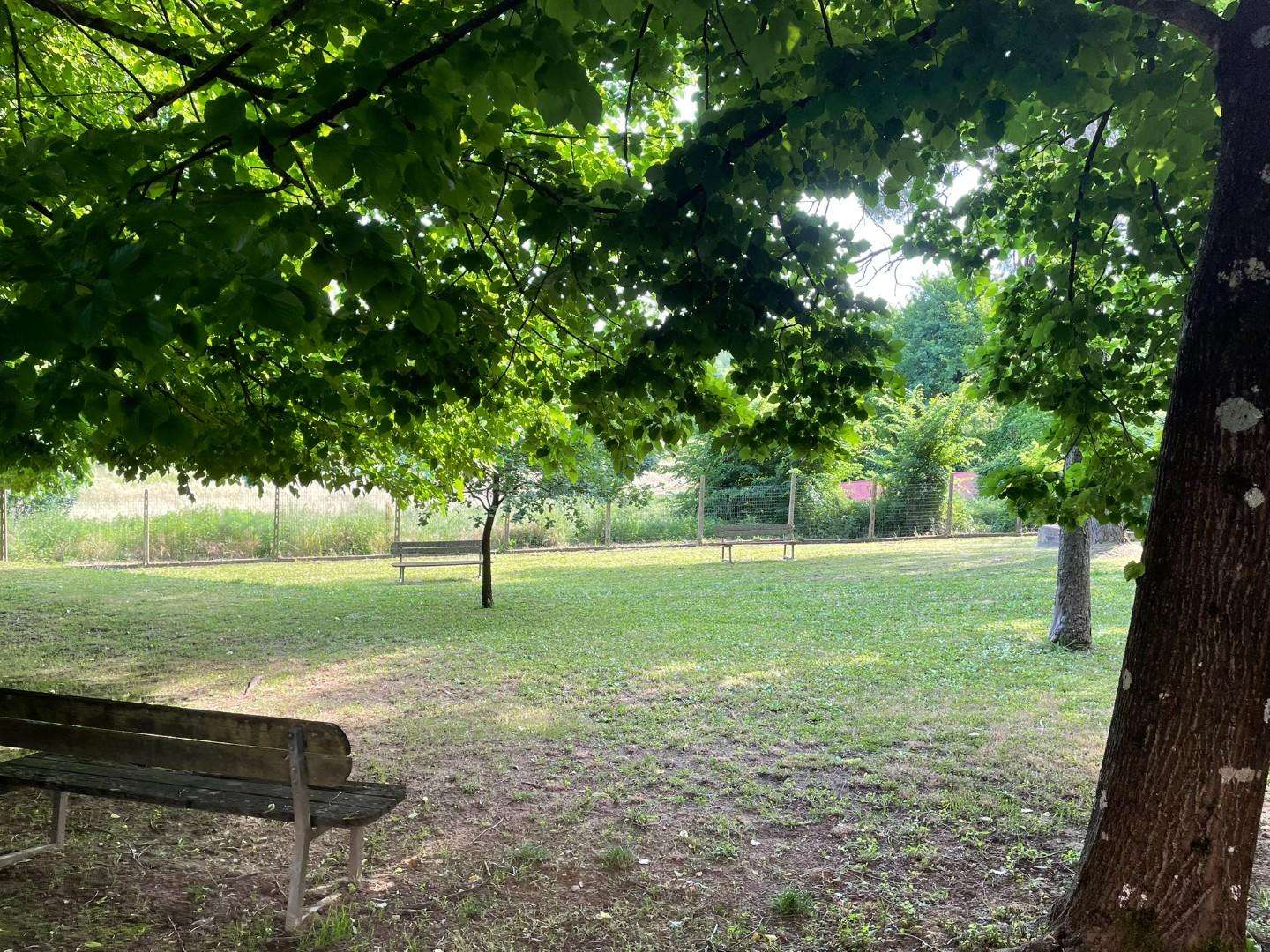  - foto 16