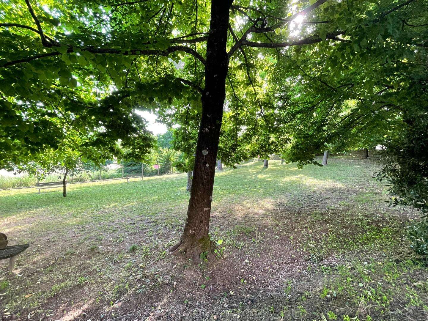  - foto 59