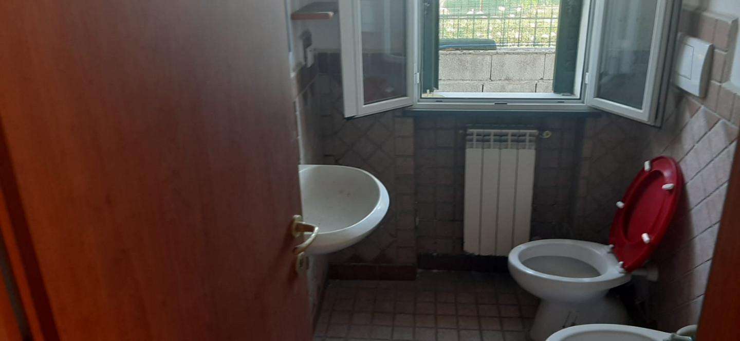  - foto 11