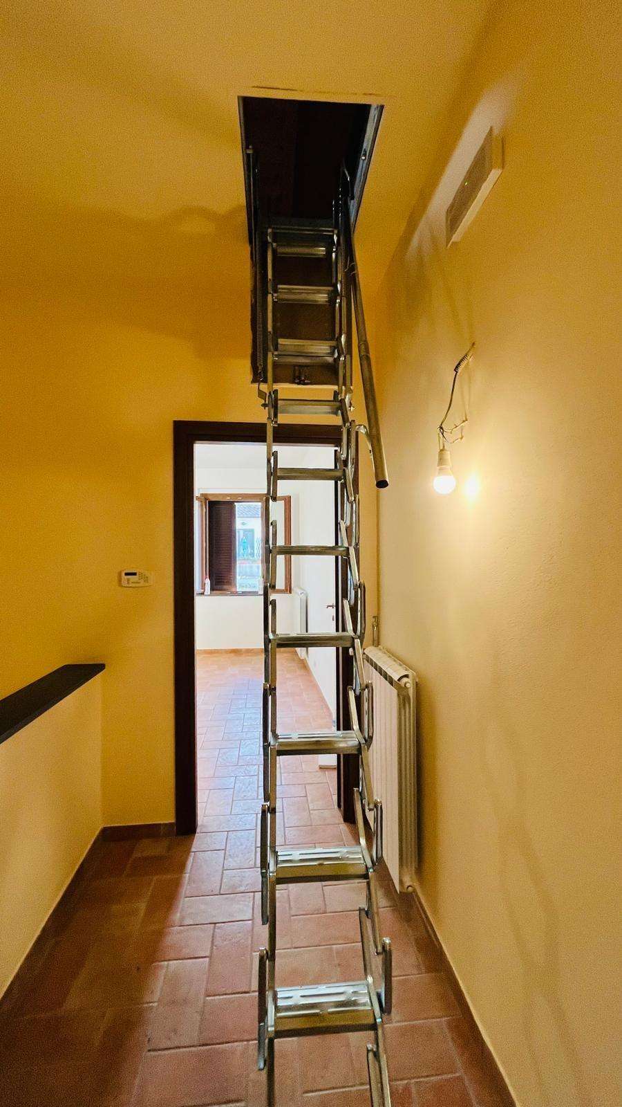  - foto 14