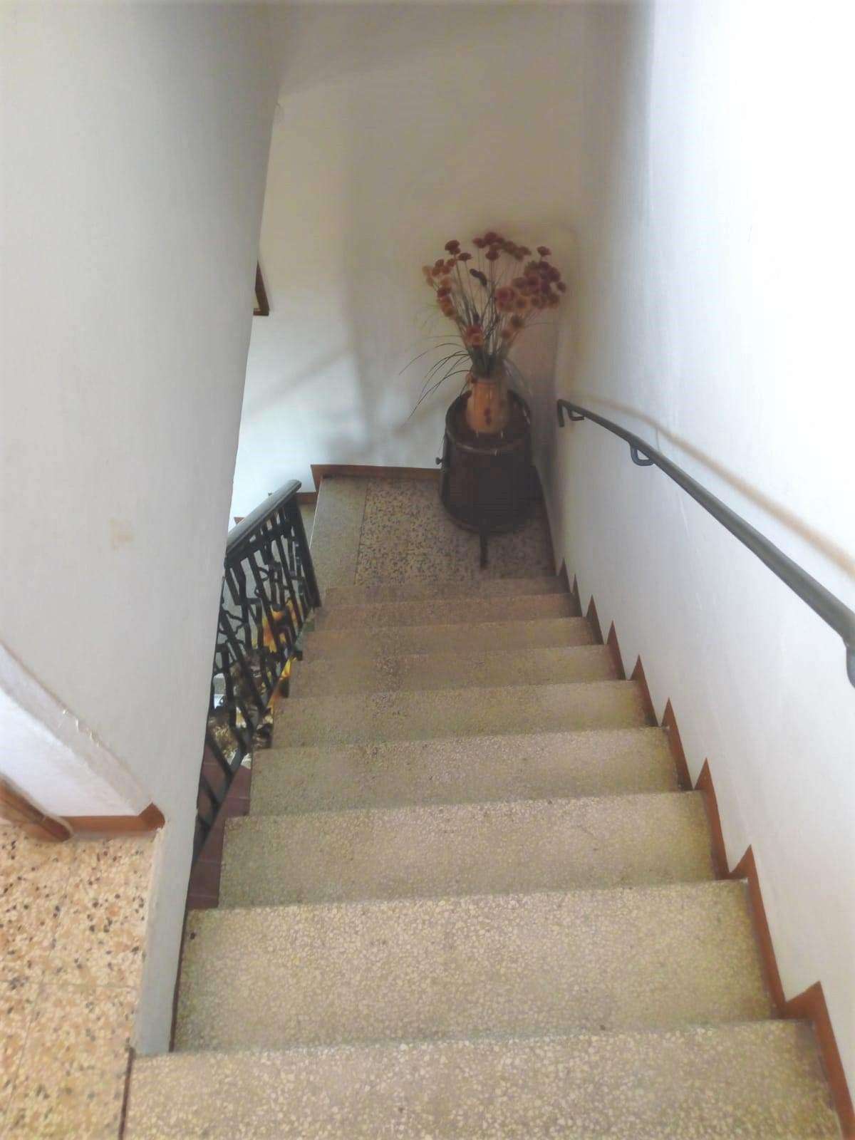  - foto 11