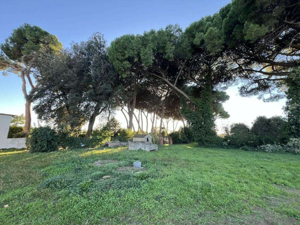  - foto 33