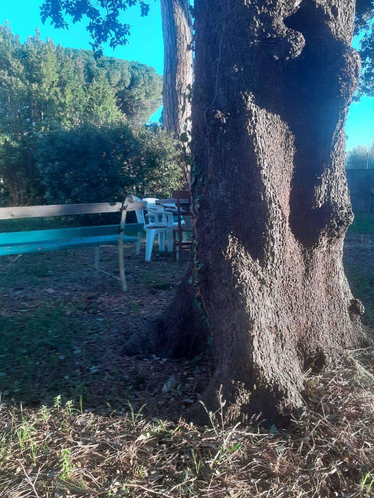 - foto 35