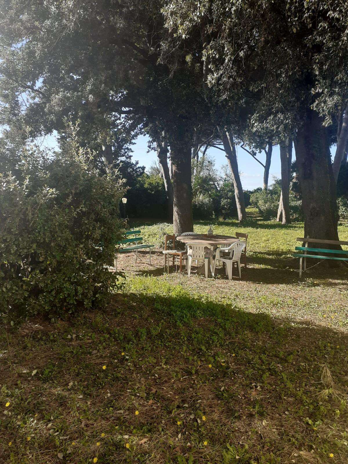  - foto 37