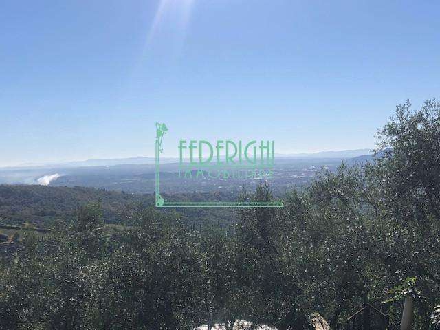  - foto 14