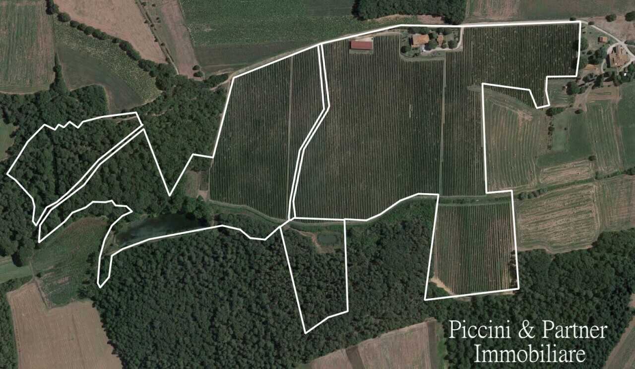  - foto 2