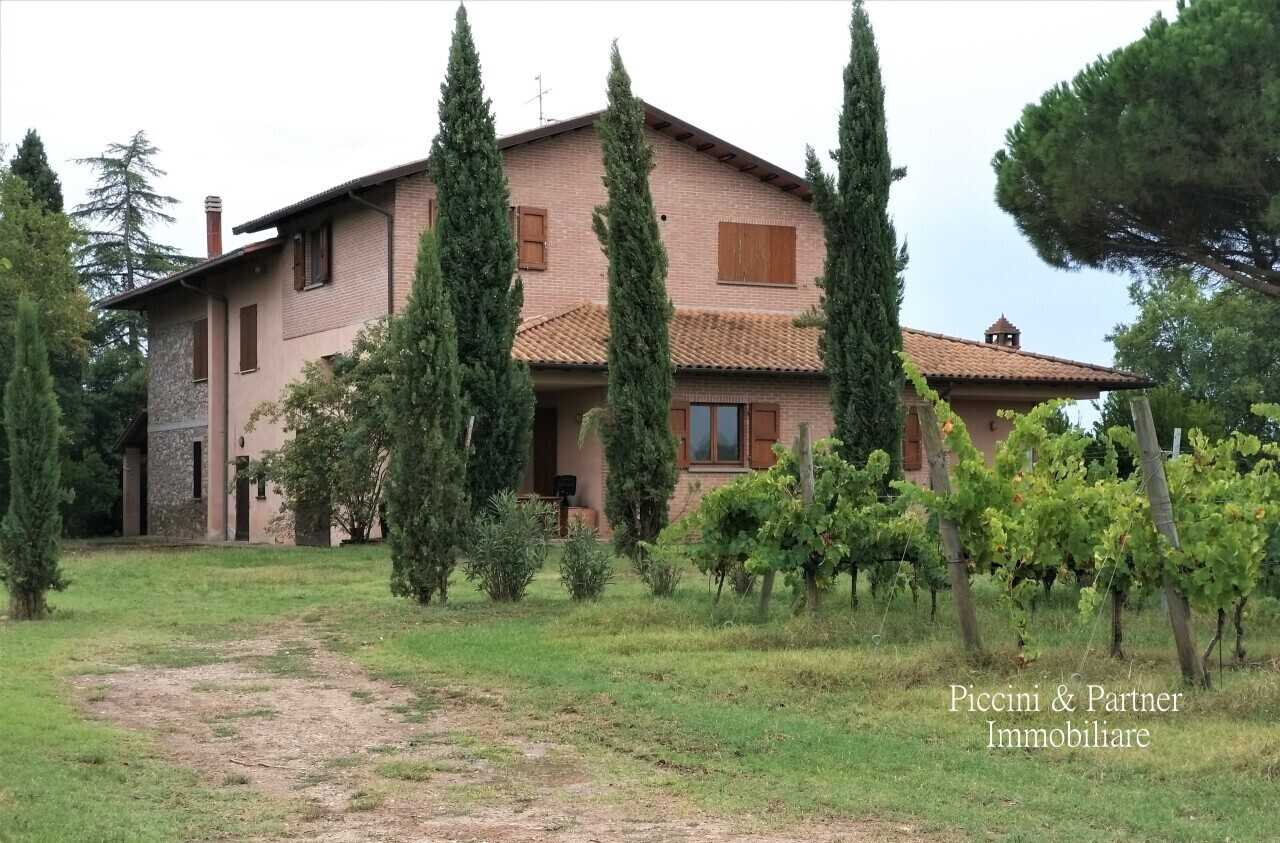  - foto 4