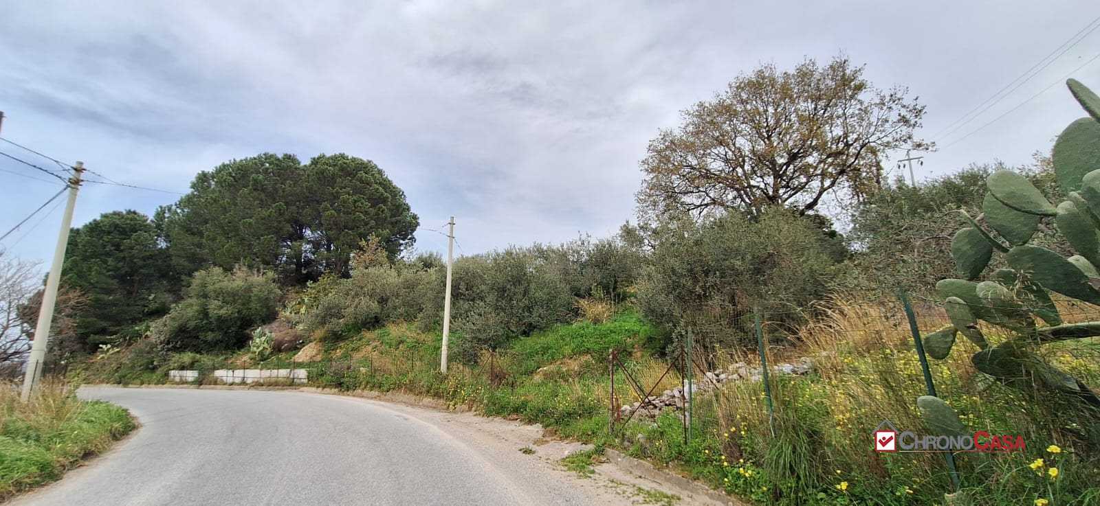  - foto 4