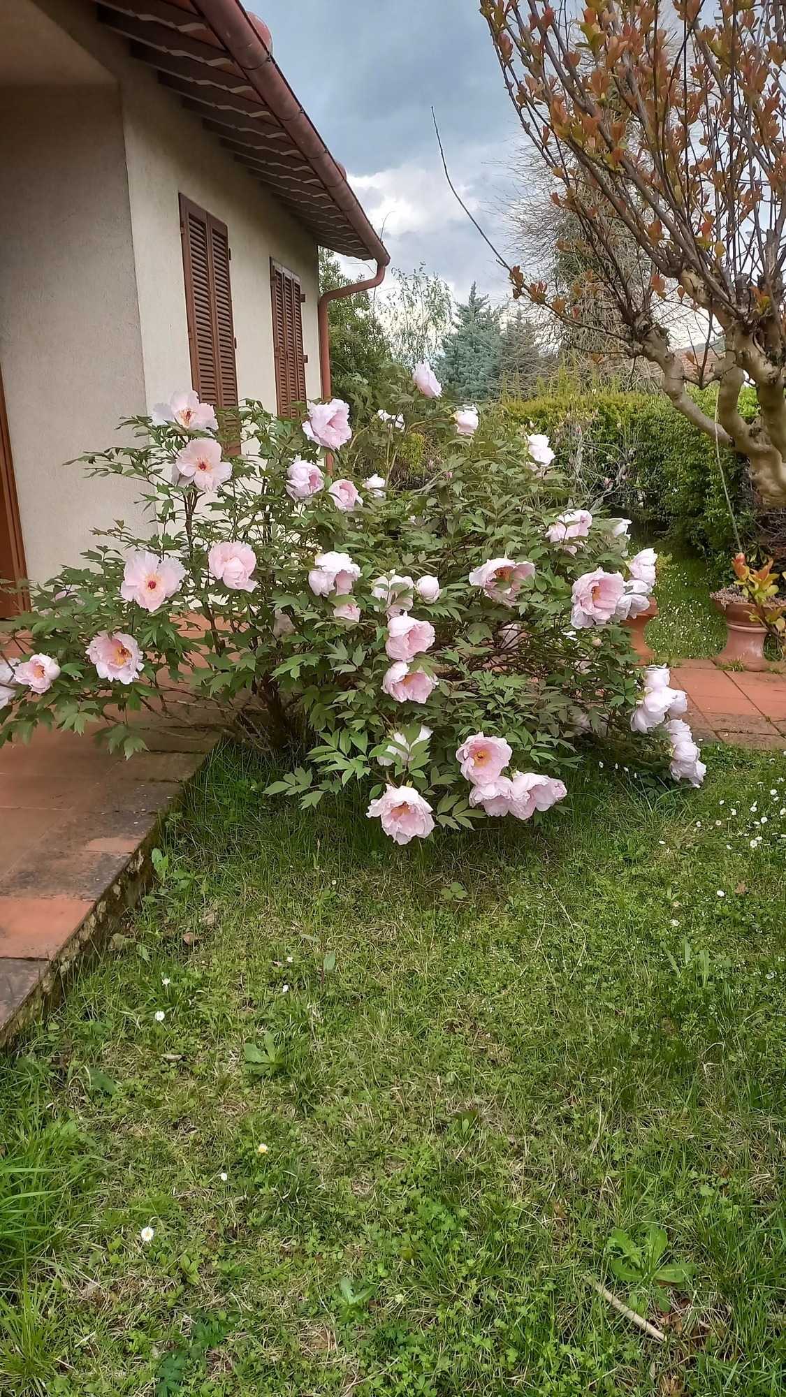  - foto 4