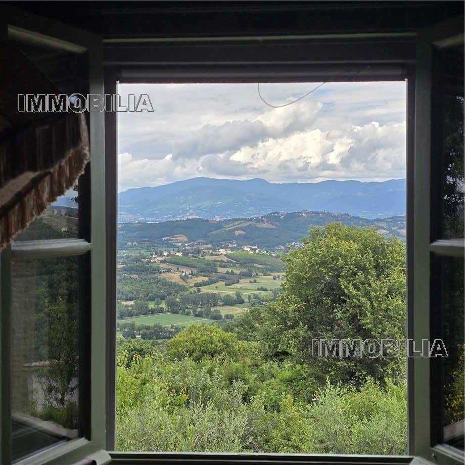  - foto 26
