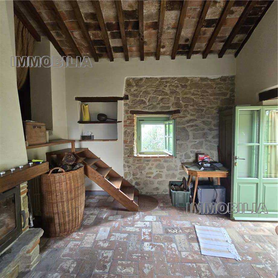  - foto 31