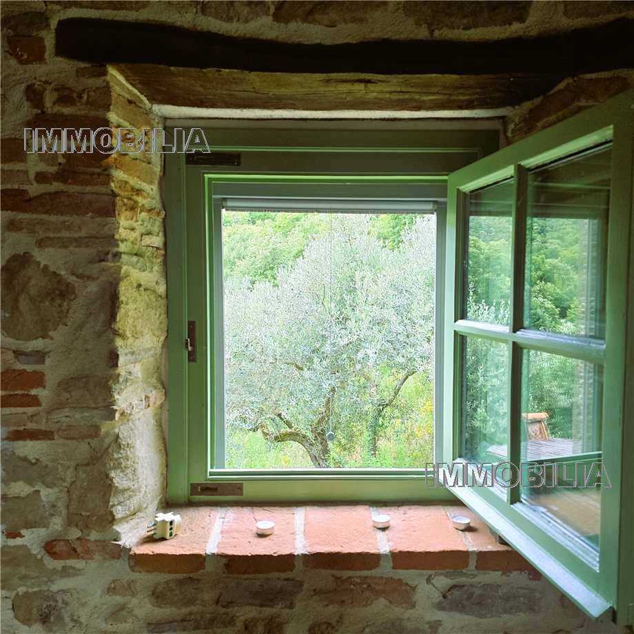  - foto 33