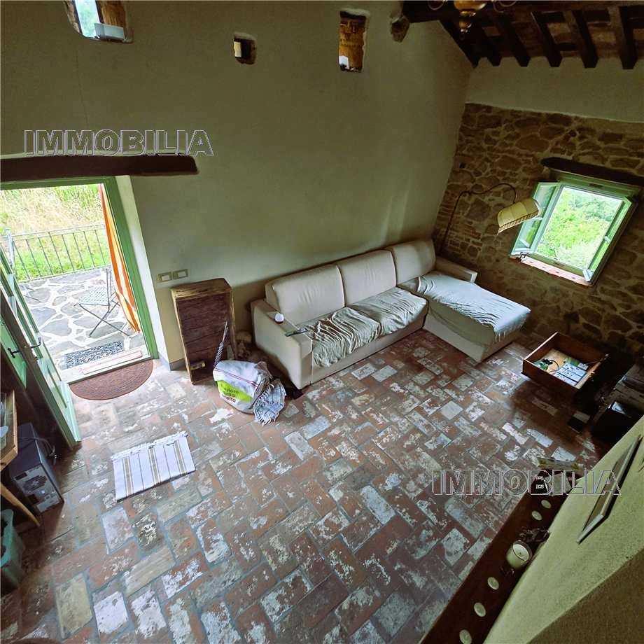  - foto 34