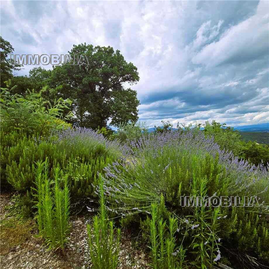  - foto 37