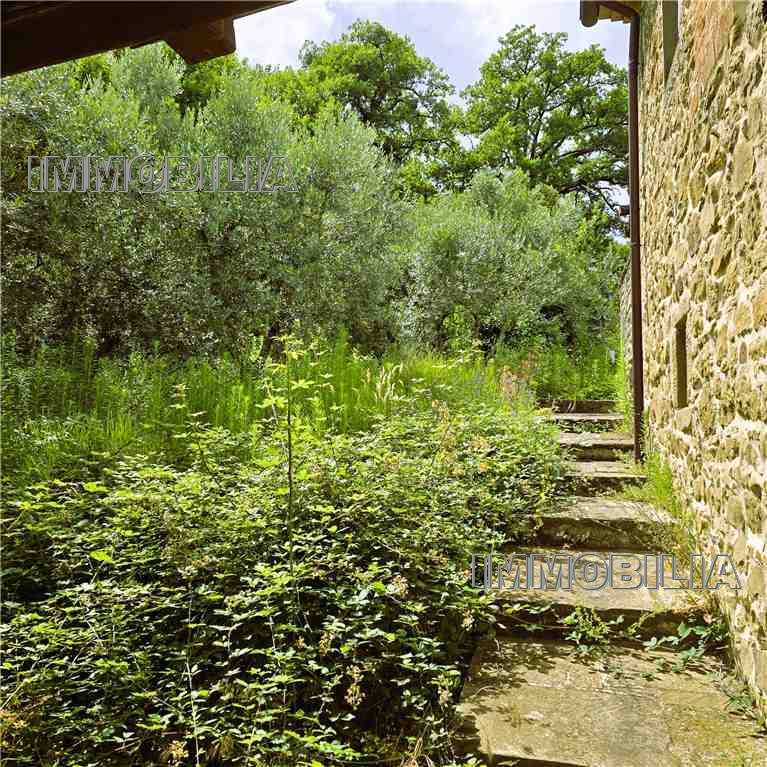  - foto 39