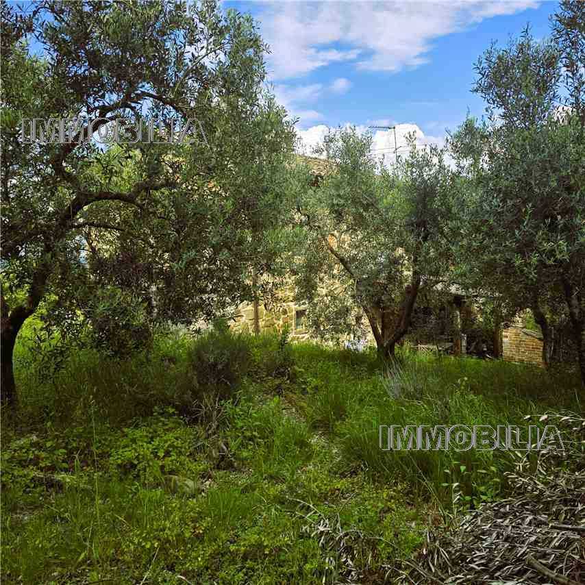  - foto 4