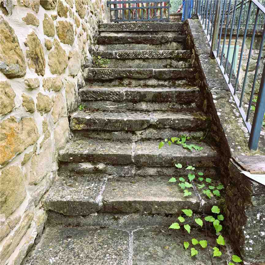  - foto 8