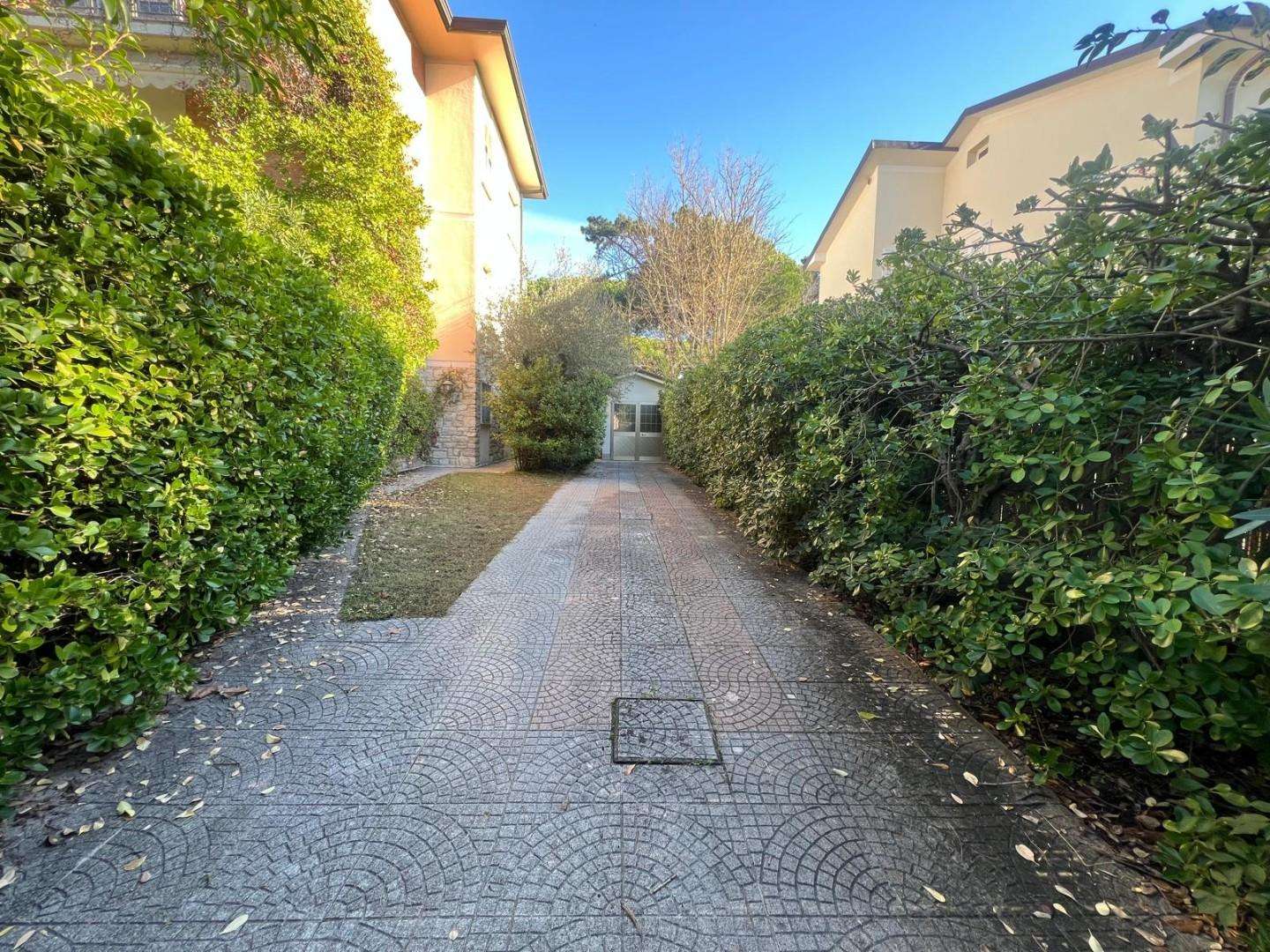  - foto 39
