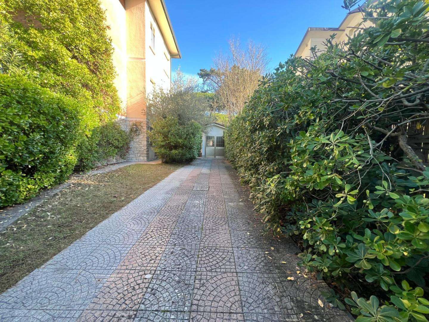  - foto 41