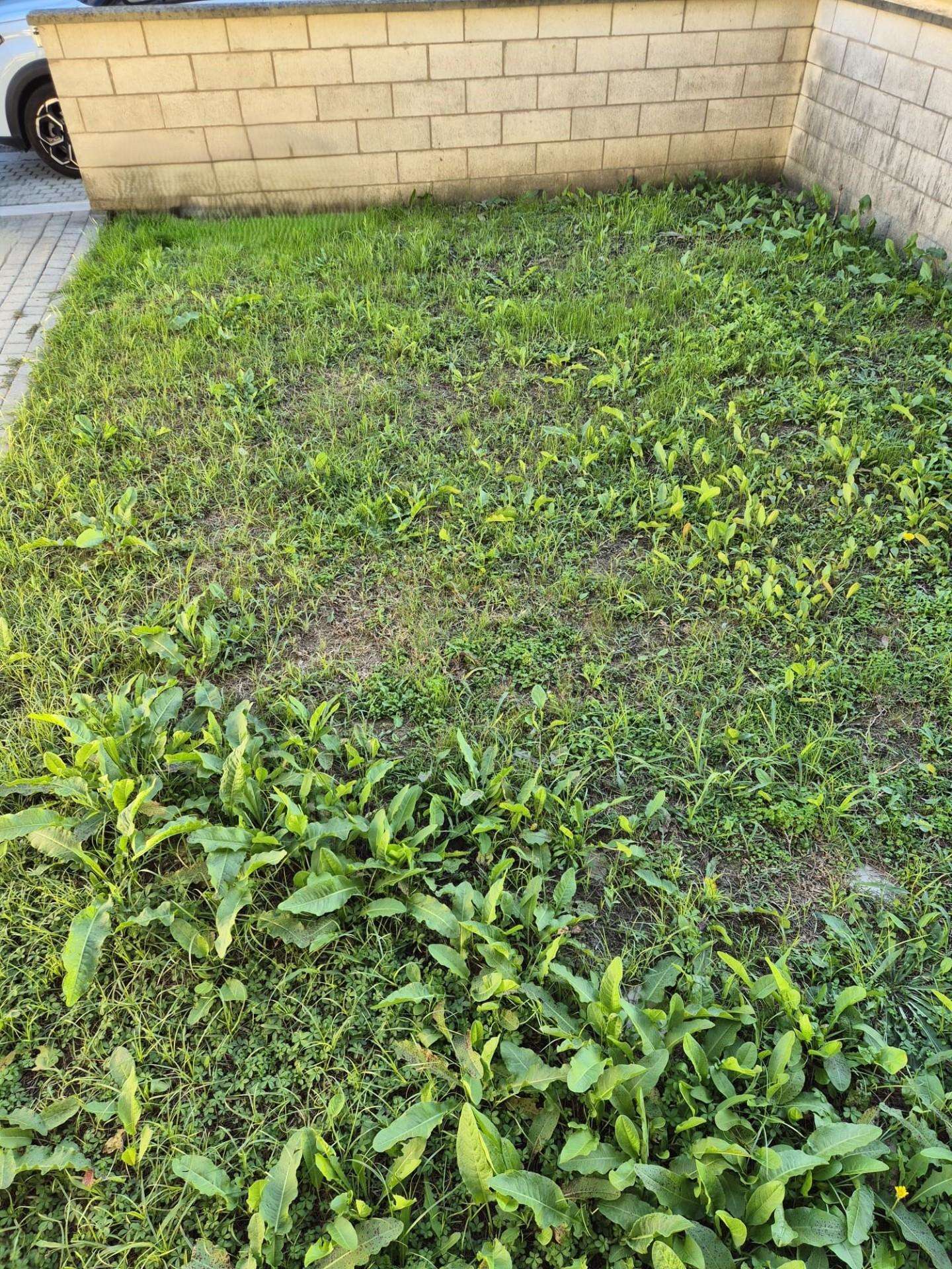  - foto 16