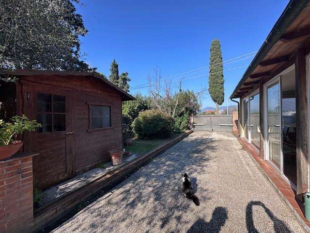  - foto 31