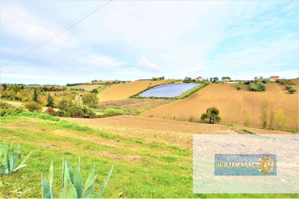 Terreno agricolo Montelupone C.da Fonte Rosa, Montelupone