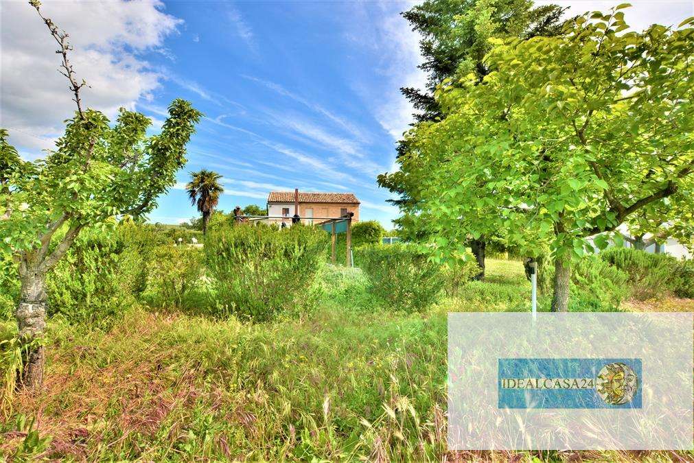  - foto 5