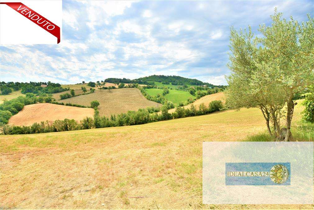 Terreno agricolo San Ginesio C.da Santa Maria d'Alto Cielo, San Ginesio