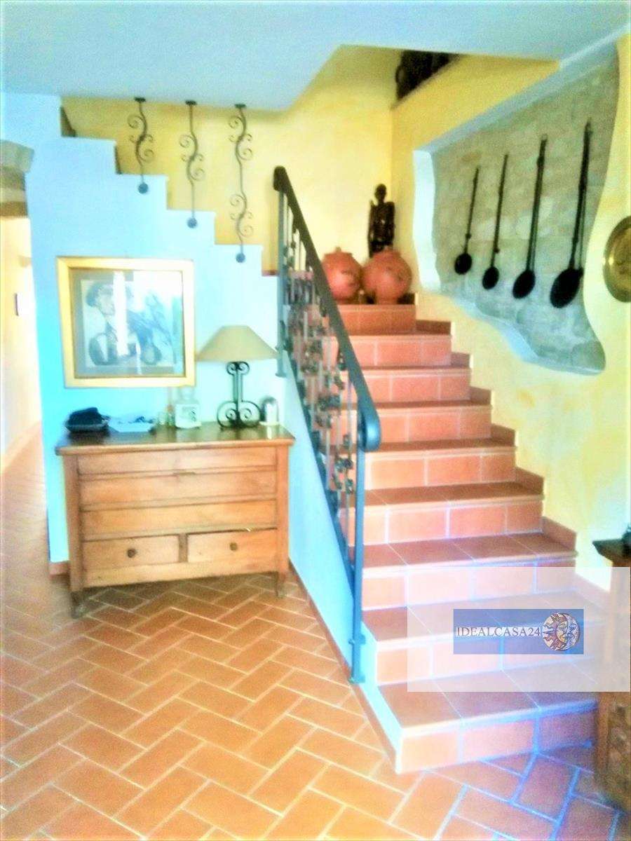  - foto 16
