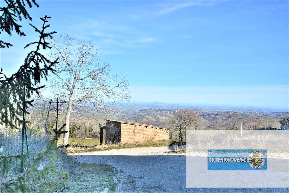  - foto 5