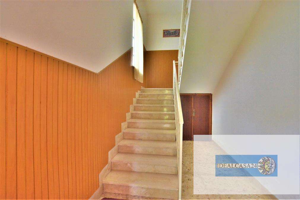  - foto 8