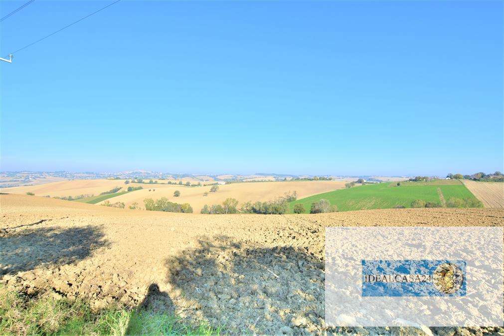  - foto 12