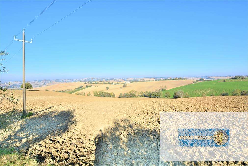  - foto 15
