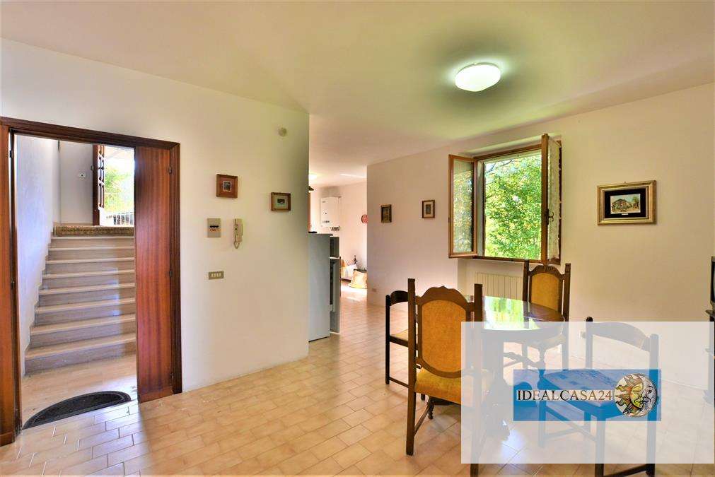  - foto 24