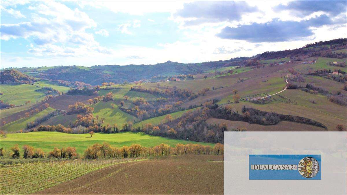 - foto 6