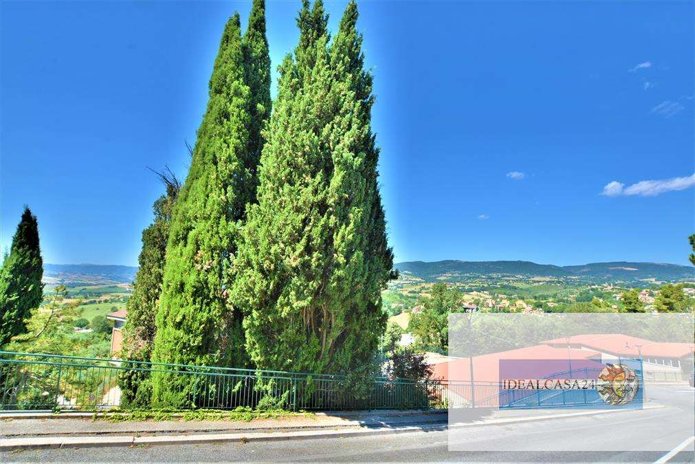  - foto 22