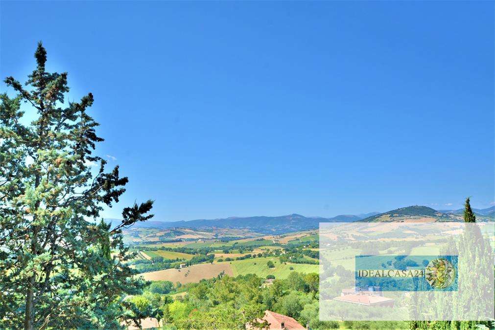  - foto 9