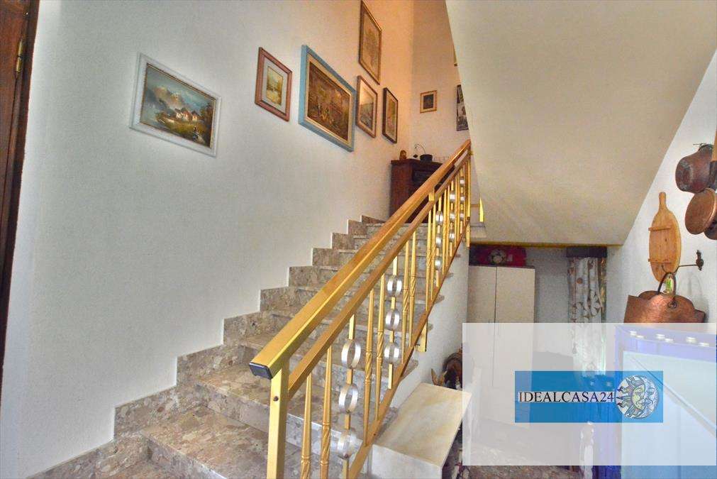  - foto 13