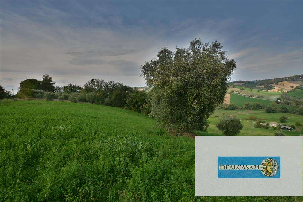  - foto 22