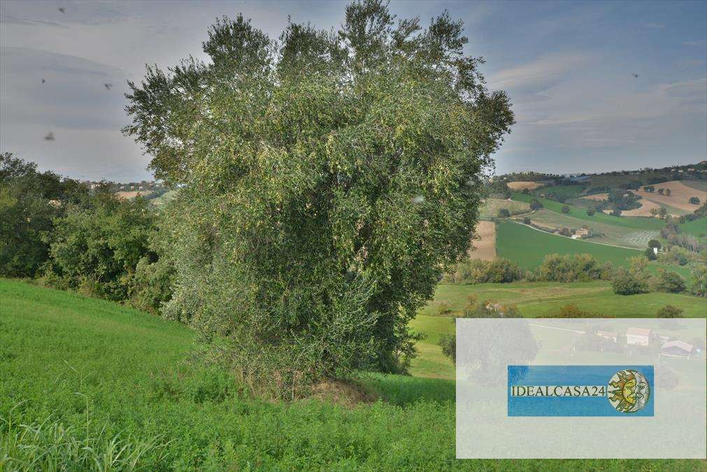  - foto 24