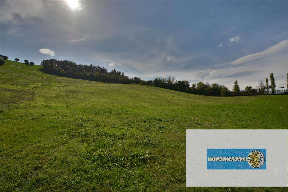  - foto 30
