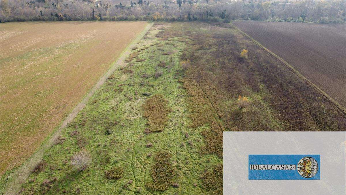 Terreno agricolo Treia C.da Chiaravalle snc, Treia
