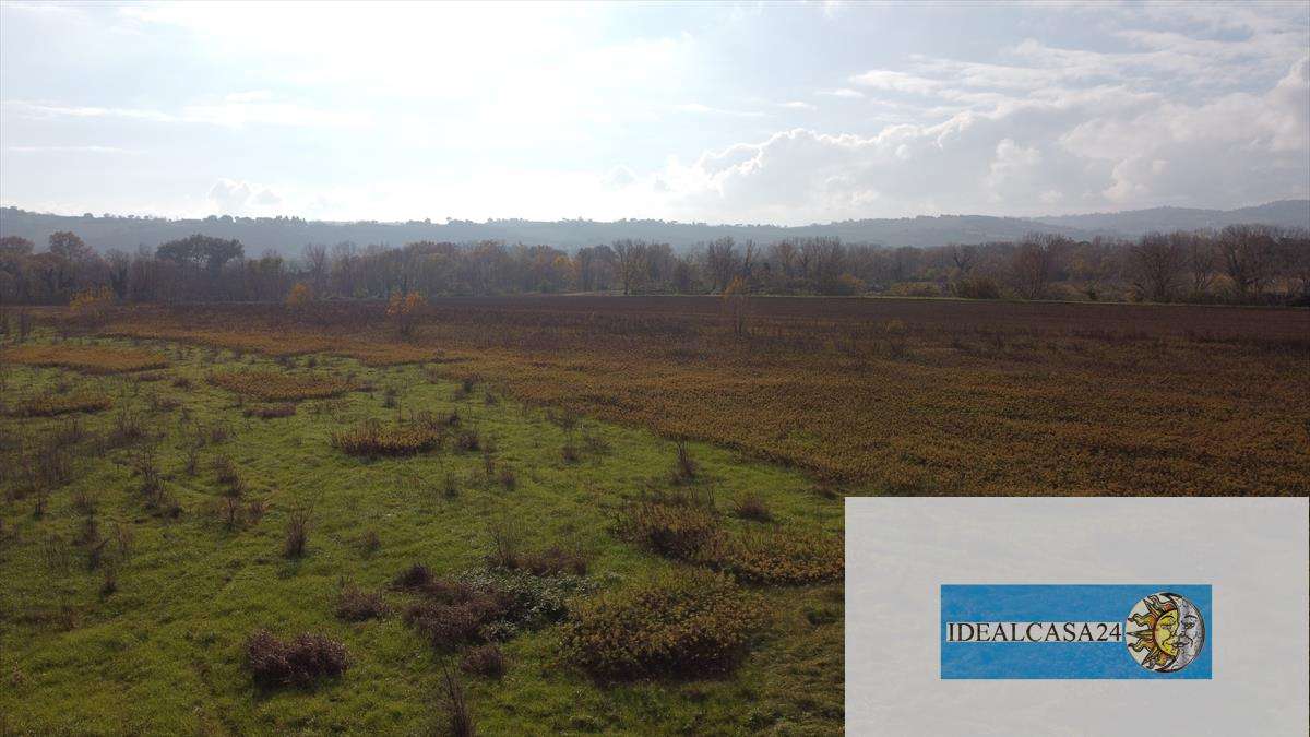  - foto 22