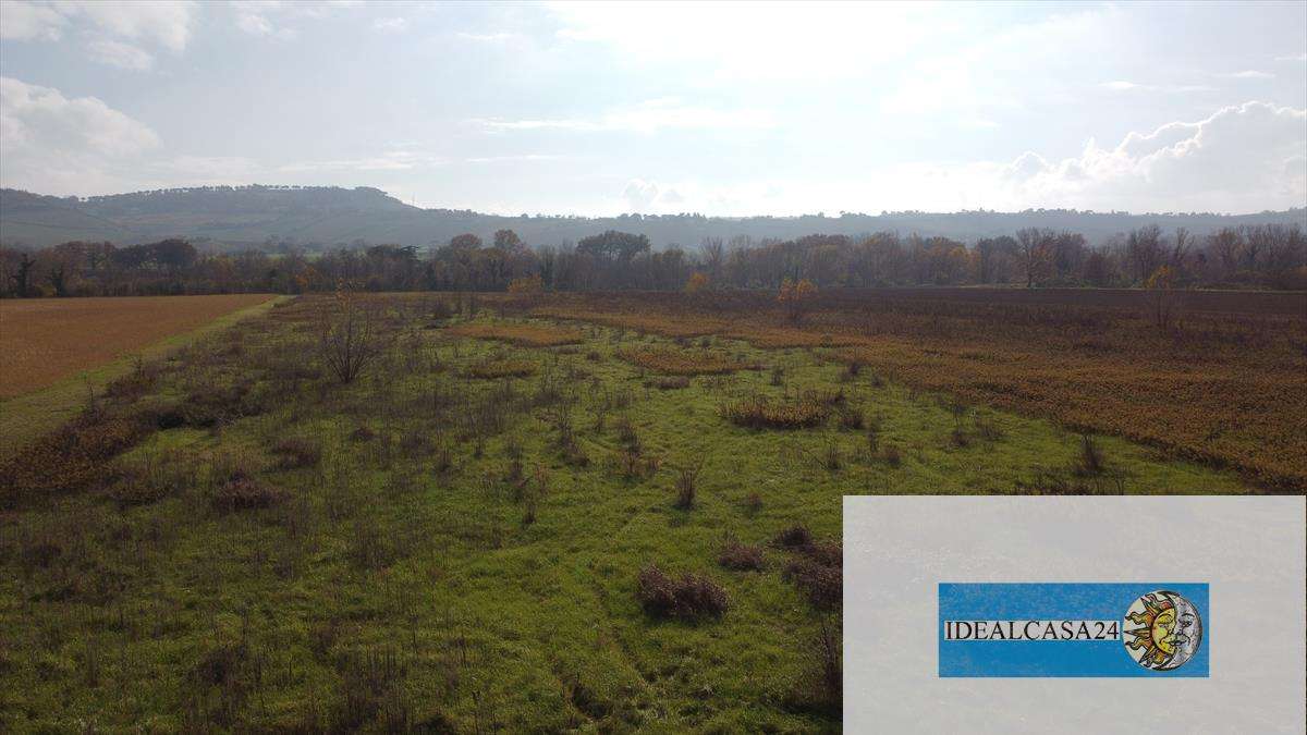  - foto 23